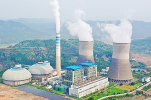 国能重庆万州电力有限责任公司